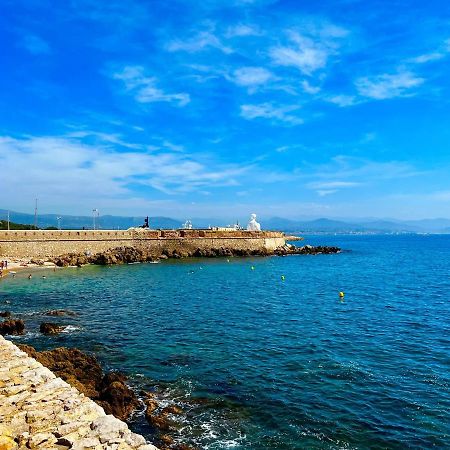 Appartement Tout Neuf Vieil Antibes Exteriör bild